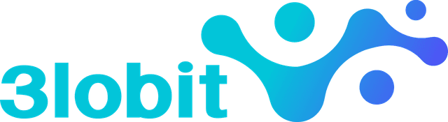 Logo 3lobit